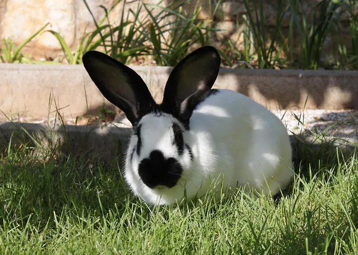 Appartement With A Parking Space Icici, Opatija - 7761 Ičići