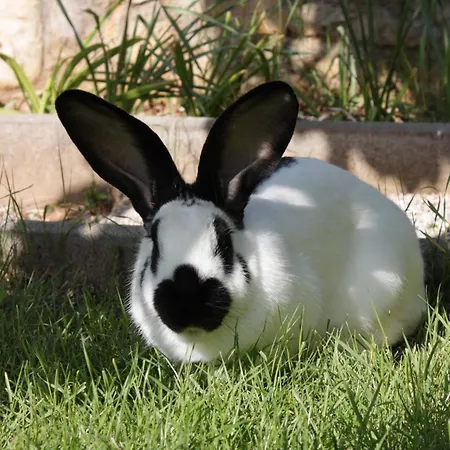 Apartment With A Parking Space Icici, Opatija - 7761 Ičići