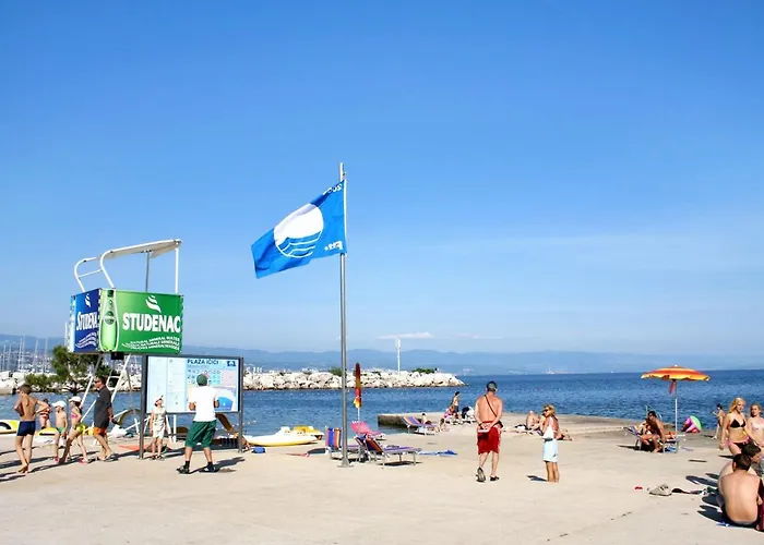 Apartment With A Parking Space Icici, Opatija - 7761